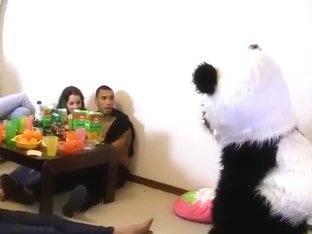 A Sex Party With A Panda Is A Good Sex Party