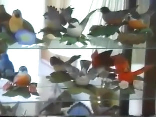 Quadraplex: Gay Daddies - Better Quality Version