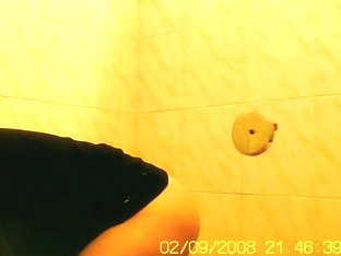 Amateur flashed bushy pussy while pissing on toilet