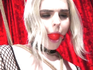 Sebastian Keys & Ella Hollywood in Sluts Get Fucked: New Girl Ella Hollywood Fucked by Sebastian K.