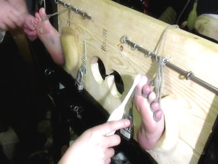 MIGHTY MOUSE HORNY Boy VII