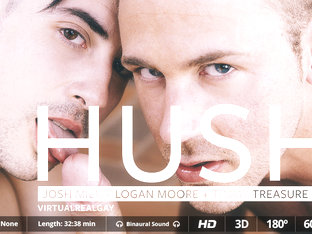 Hush - Virtualrealgay