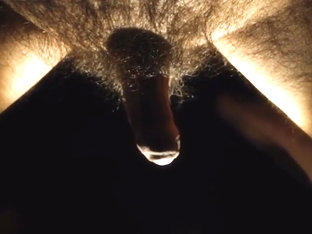 Shaving pubic hair in the bathroom