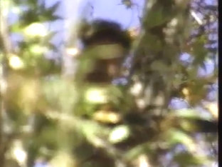 Amazing Sex Scene Homosexual Vintage Try To Watch For , Take A Look