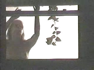 Window Peeping - Topless Girl