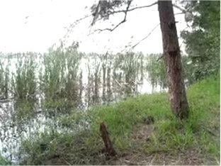 Incredible homemade adult scene