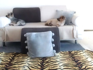 eyescrystal 2016-04-12 08:14:59