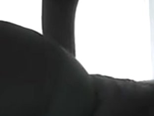 Segment 2, love doggy!