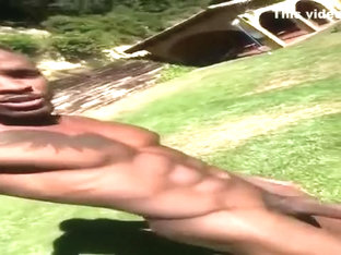 A Walk In The Garden