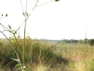 Best Japanese model in JAV video unique