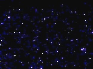 Co., Ltd. and-flops - eggplant yuan ho - or Hokkachin employees Gonzo Episode outflow