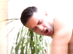 testigos de jehova curioso