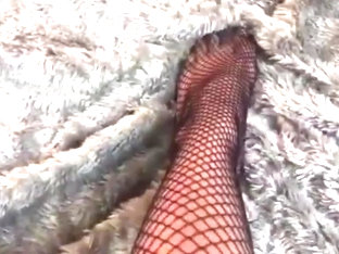 Pedalia Love's Fishnet Toe Dipping In Yogurt