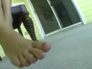 Lacey Petals chilling on the balconey