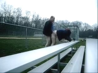 Rainy Day At The Ball Park