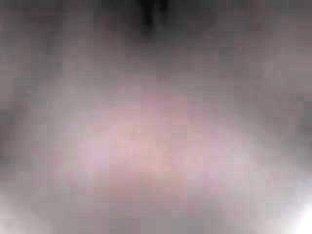 brunette sucking the d