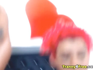 Horny Sexy Shemale in a Hot Blowjob Session