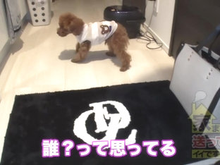 0008690_デカ乳 キス えっちなどが含まれている