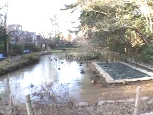 Crazy Japanese Chick Haru Sakuraba In Exotic Solo Girl Jav Video