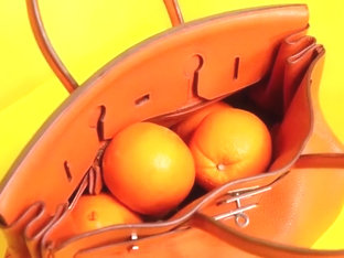 Jelena karleusa dara bubamara