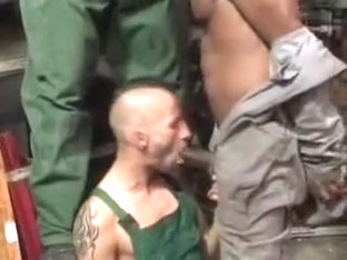 Exotic Male In Incredible Gay Adult Video