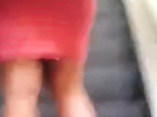 Incredible Dark Brown Whooty In Taut Red Costume