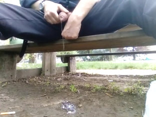 Kocalos - Pissing in a public park