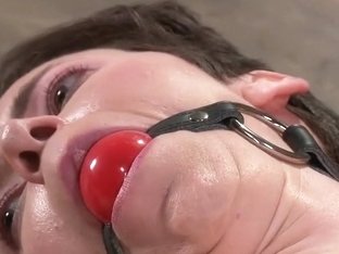 Newbie Gets The Full Treatment! Extreme Bondage And Brutal Torment!!!