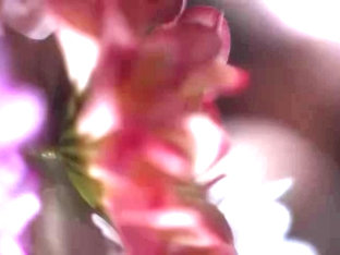 X1x3c9f4fb32360076d16