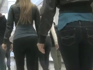 A Gaggle of Asses