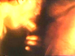 Crazy male pornstar in exotic blowjob, vintage gay sex movie