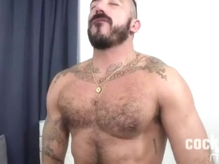 Alessio Romero And Rogue Status (hf5 P1)