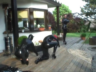 Rubbersisters - Pussycats