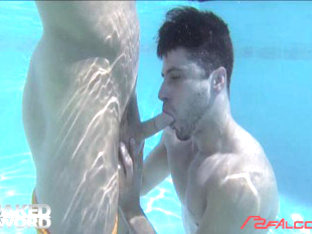 California Dreamin' 1 - Falcon Studios