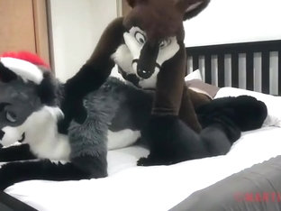 Felix Pounces Martini (Fursuit Sex)