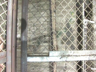 BoundGods : Master Tober Brandt and slave chet