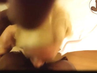 Jamie wolf holly berry volume 1  the southern belle