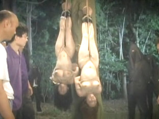 Two Girls Hang Upside Down While Getting Filled Up With Cock