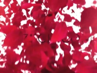 Good Morning • Nici Dee • XCZECH.COM