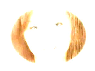 Exotic Japanese model Kaori Ayukawa in Incredible JAV scene