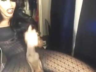 Black tranny in action