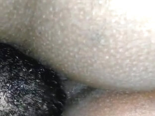 Jamaican Pussy Sucking