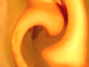 Aggi slut pussy pounding