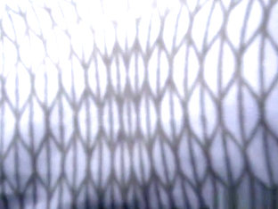 Huge Dick For Petite Stepsis Amara Romani