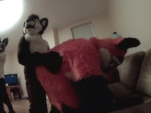 Fursuit Sex 122