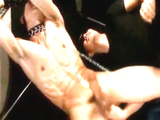 illegal brawny bodies market 2 part 1