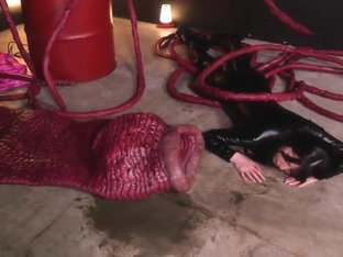 x1x201C5A3B02C92E089C