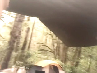 Puppy pounding at camp K9