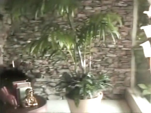 Seduction 17 - Scene 5