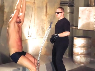 The Guy Caught On The Street Part Ii